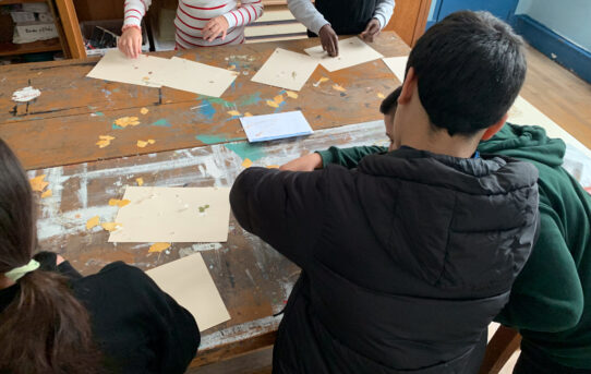 Cyanotype avec la classe UPEAA du Collège Anne Frank, Paris 11e