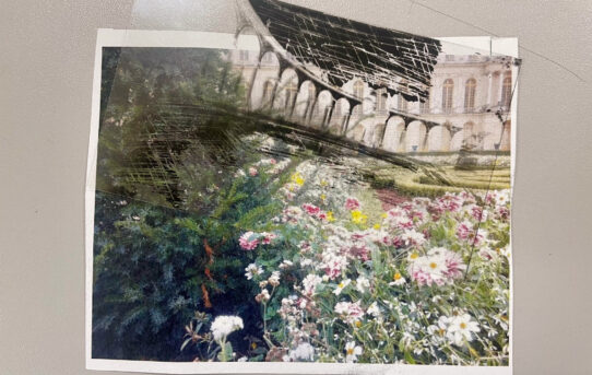 Points de vue sur Versailles : quand la photographie rencontre la broderie