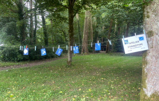 Rendez-vous aux jardins : le cyanotype s'invite au château d'Écouen